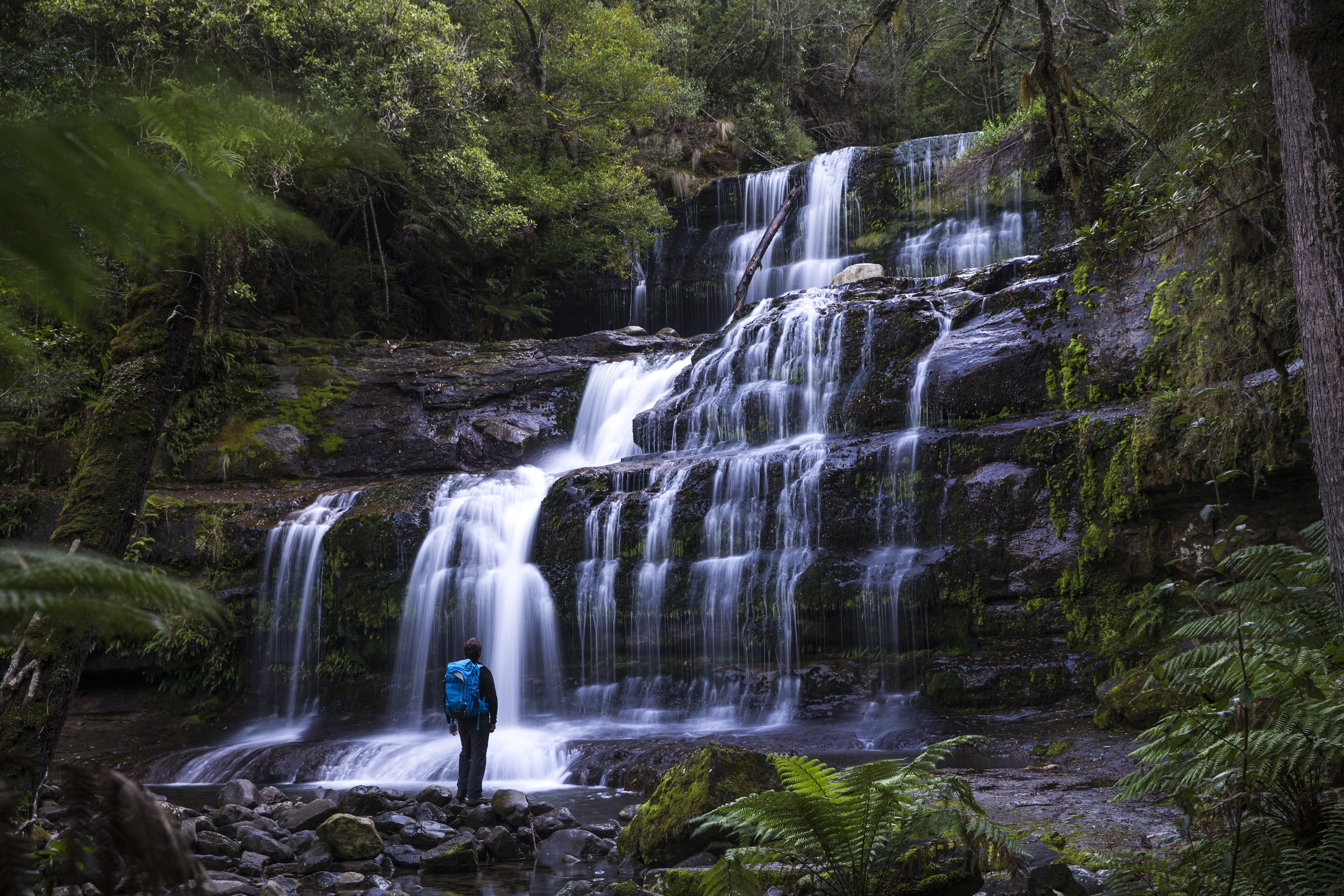 Aus tasmania waterfall mount field national park