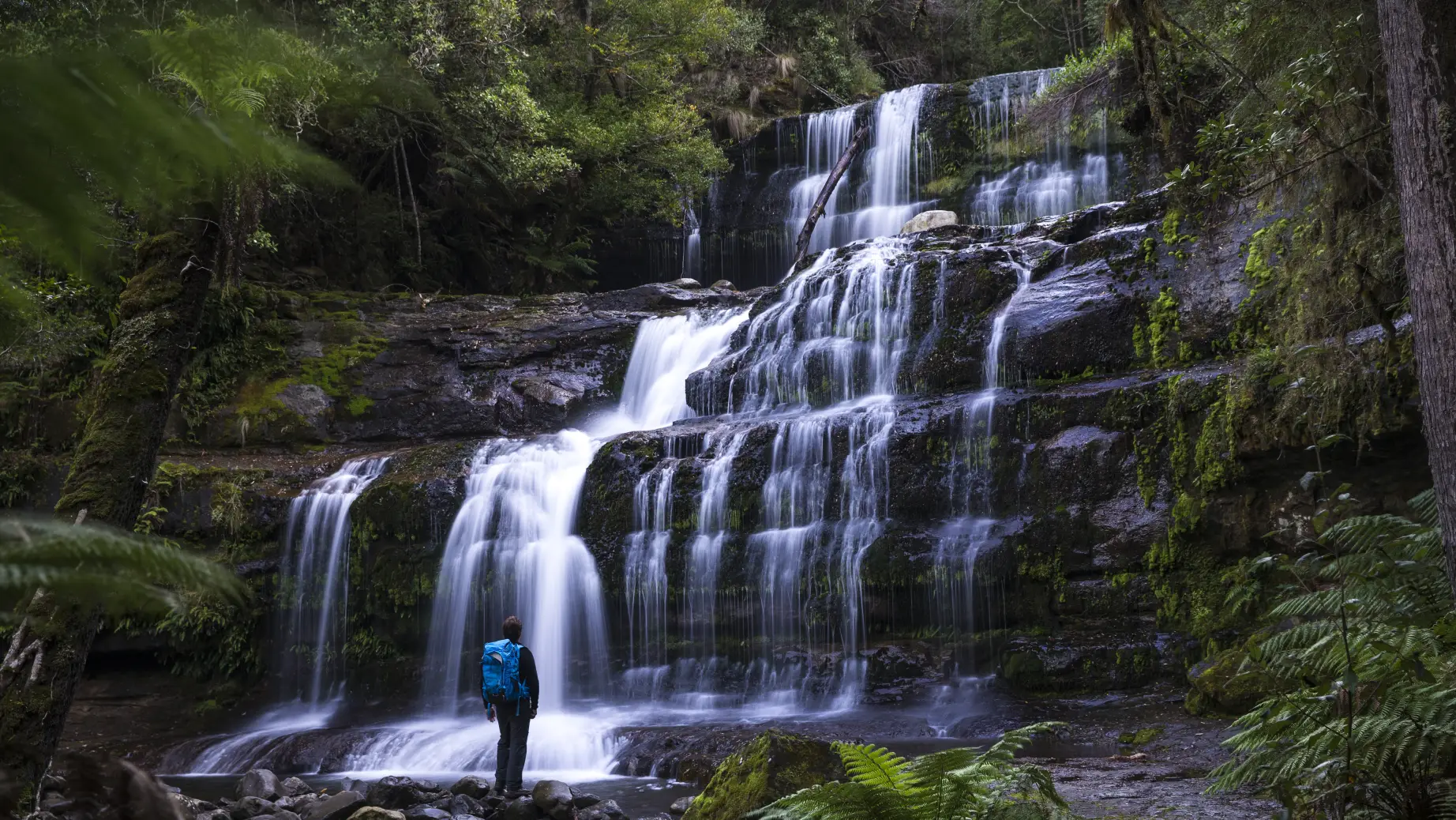 Aus tasmania waterfall mount field national park