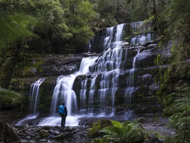 Aus tasmania waterfall mount field national park