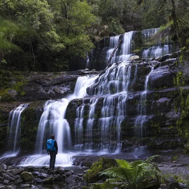 Aus tasmania waterfall mount field national park