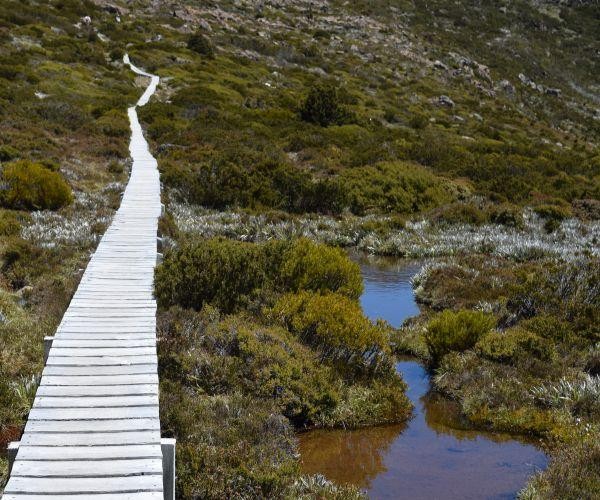 Aus tasmania mount field tarn shelf