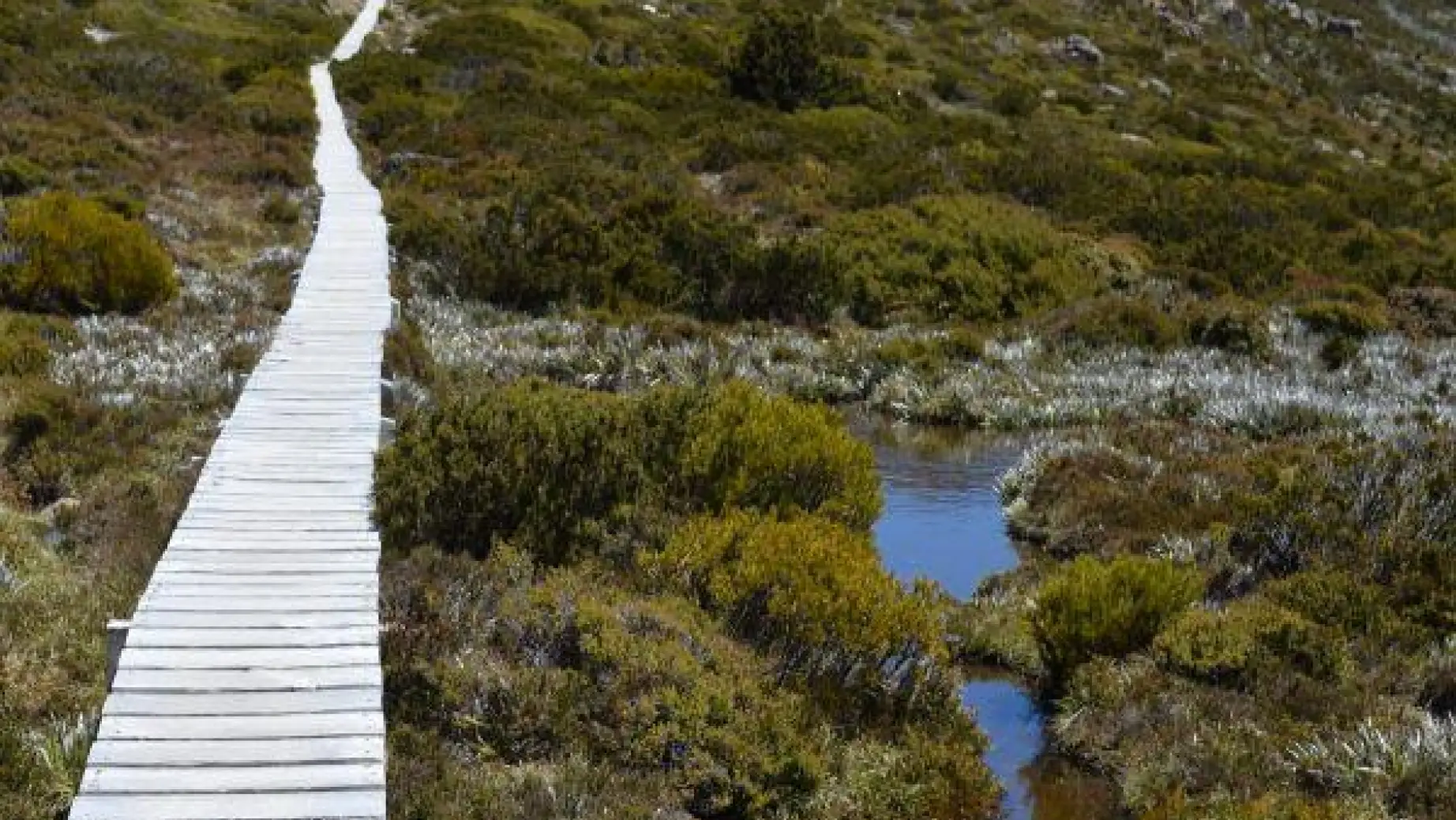 Aus tasmania mount field tarn shelf