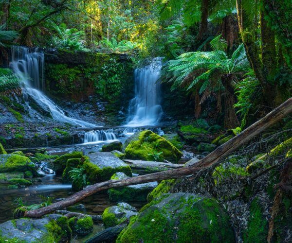 Zwei Wasserfälle und Felsen mit Farn in Australien