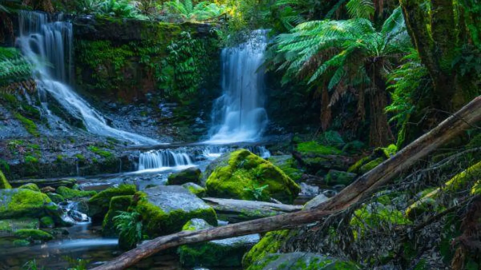 Aus tasmania mount field lady barron falls