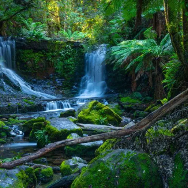 Zwei Wasserfälle und Felsen mit Farn in Australien
