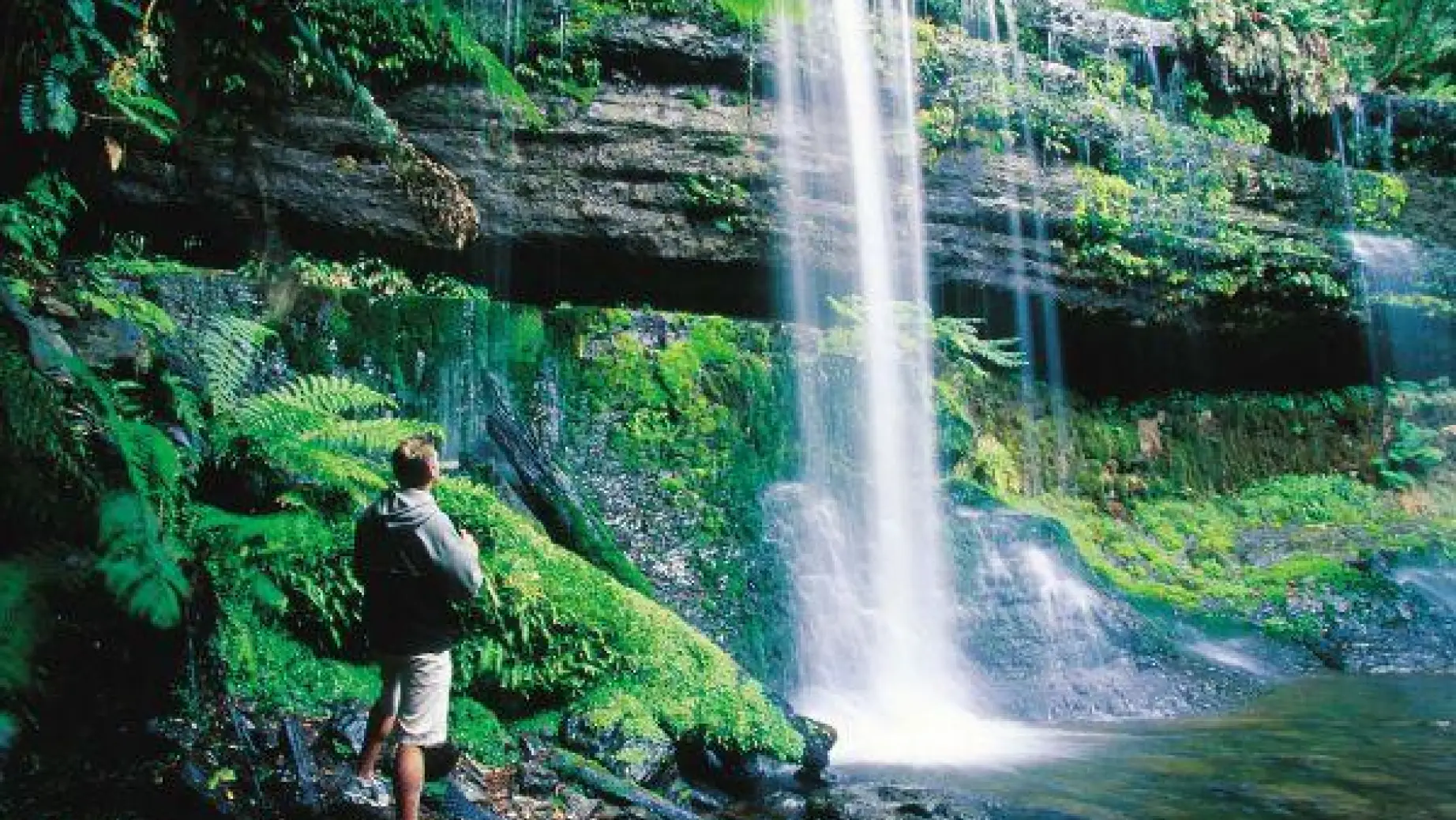 Aus tasmania mount field russell falls