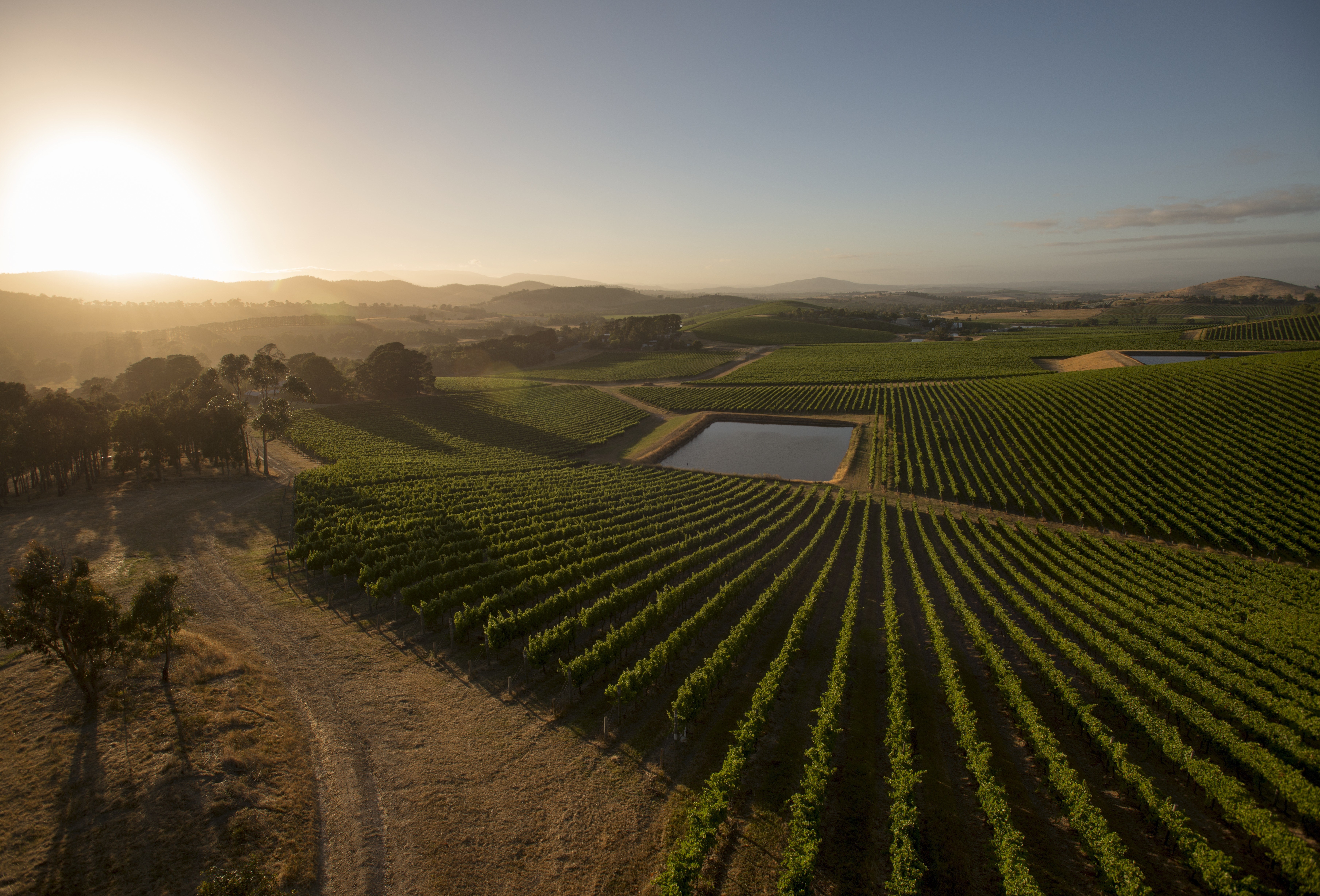 AUS_VIC_De Bortoli Yarra Valley Estate