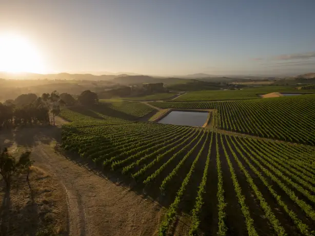 AUS_VIC_De Bortoli Yarra Valley Estate