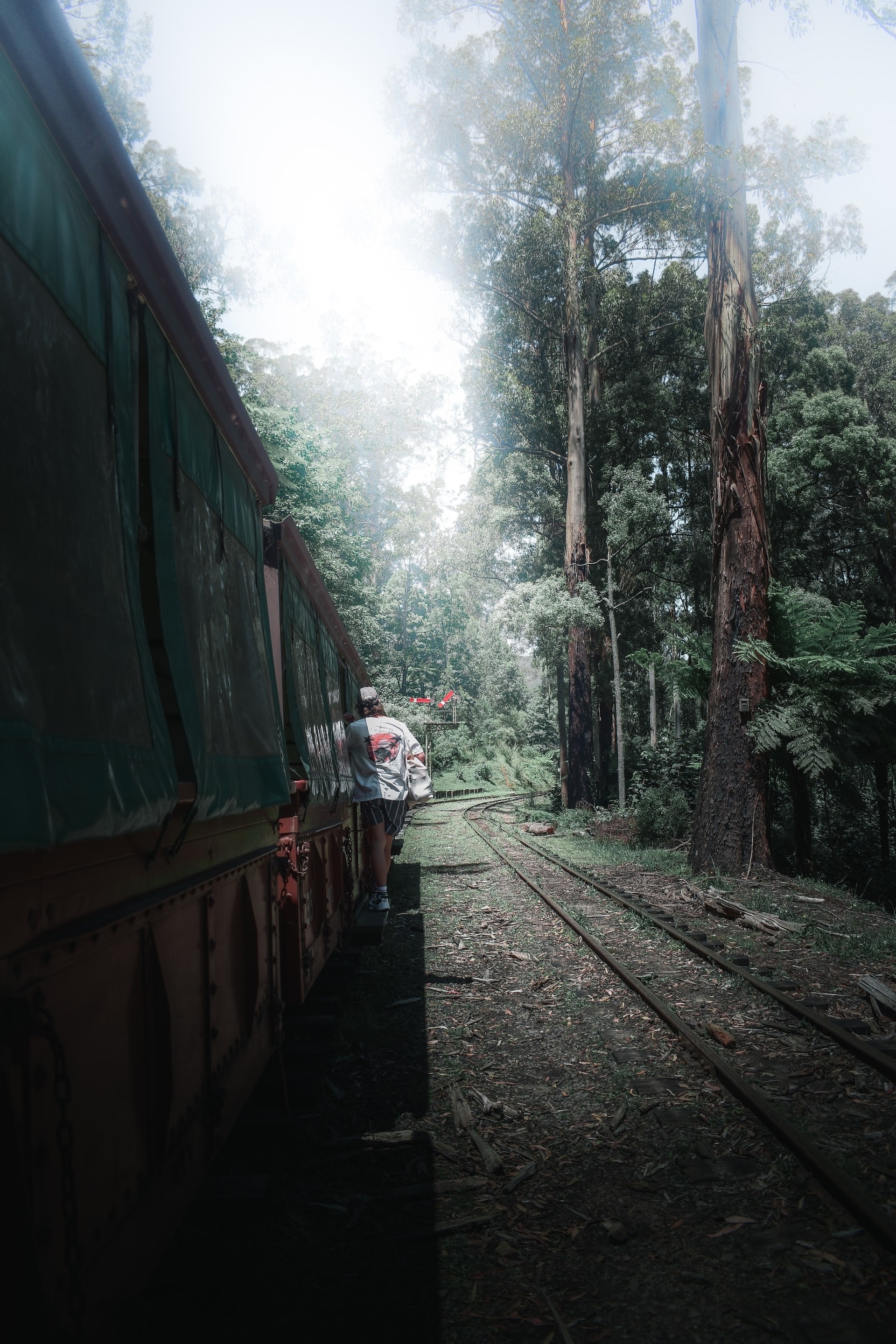AUS_VIC__Yarra Valley_Dandenong Ranges