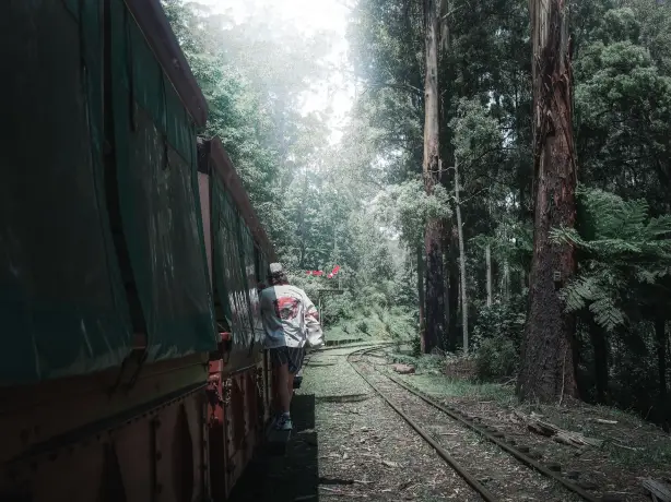 AUS_VIC__Yarra Valley_Dandenong Ranges