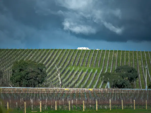 AUS_VIC_Yarra Valley_Healesville