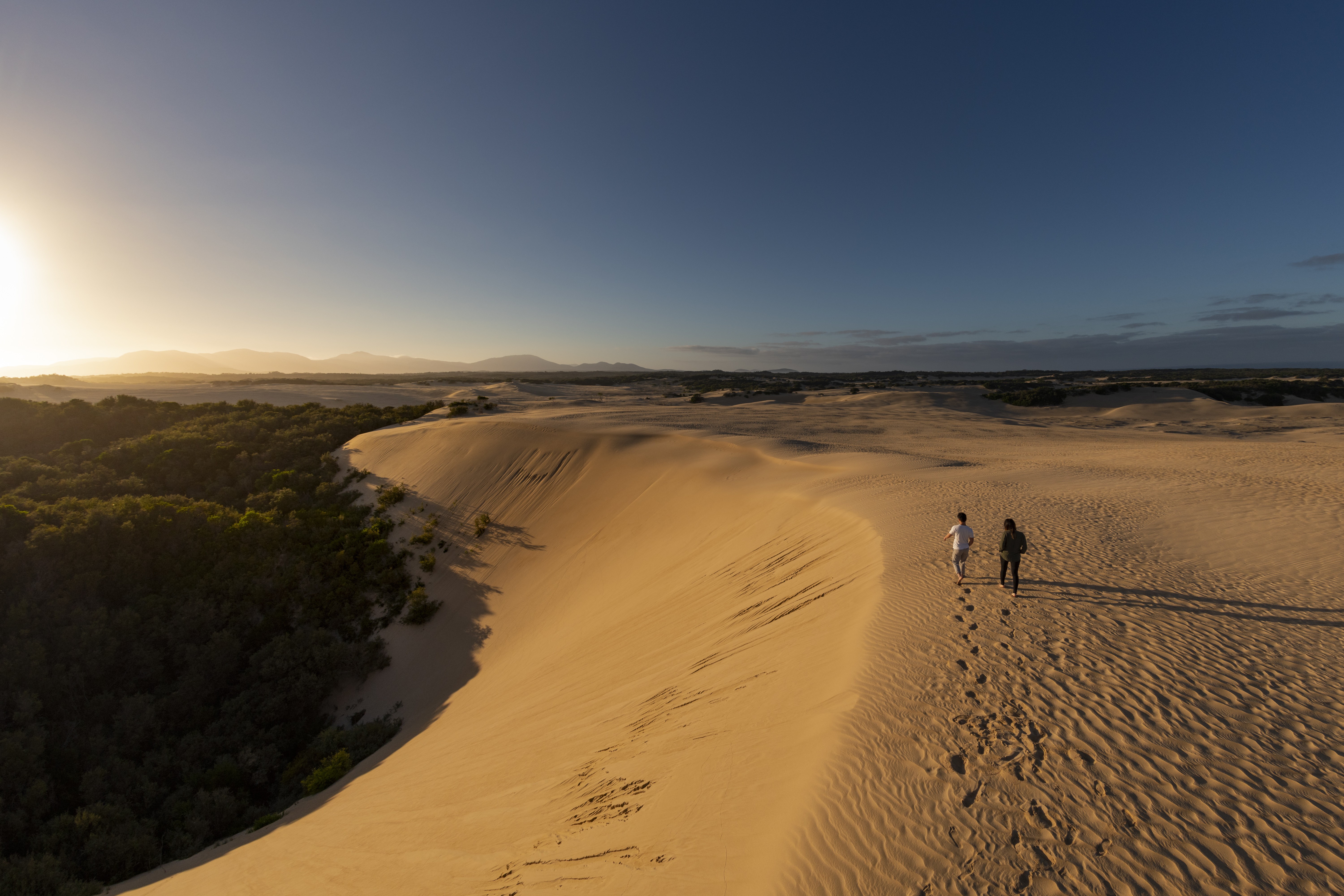 Aus vic Big Drift Wilsons Promontory National Park 2
