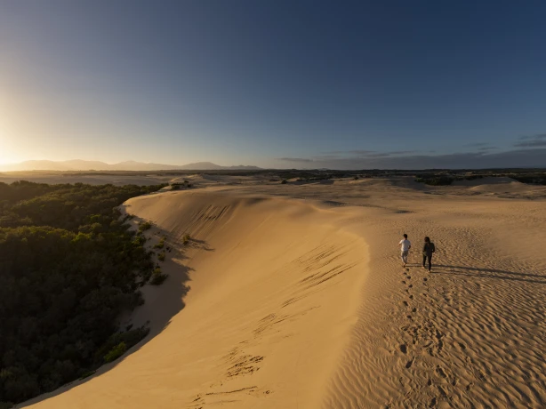 Aus vic Big Drift Wilsons Promontory National Park 2