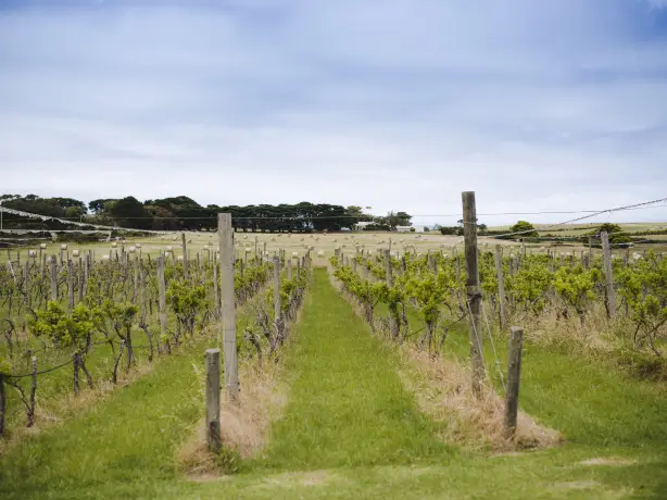 Aus vic Phillip Island Winery The Yards 1