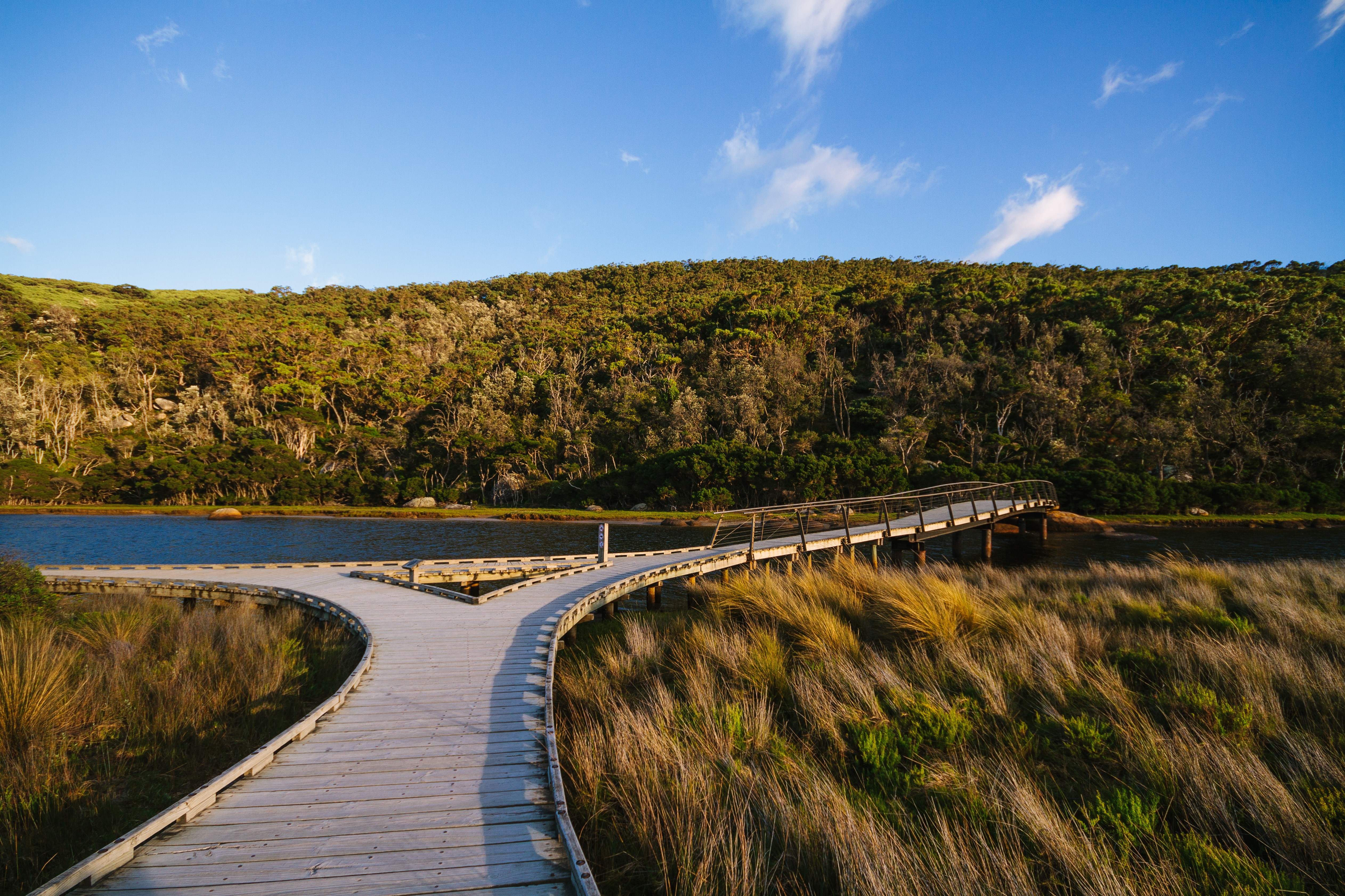 Wilsons Promontory boardwalk