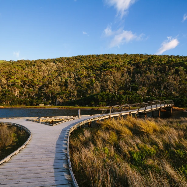 Wilsons Promontory boardwalk