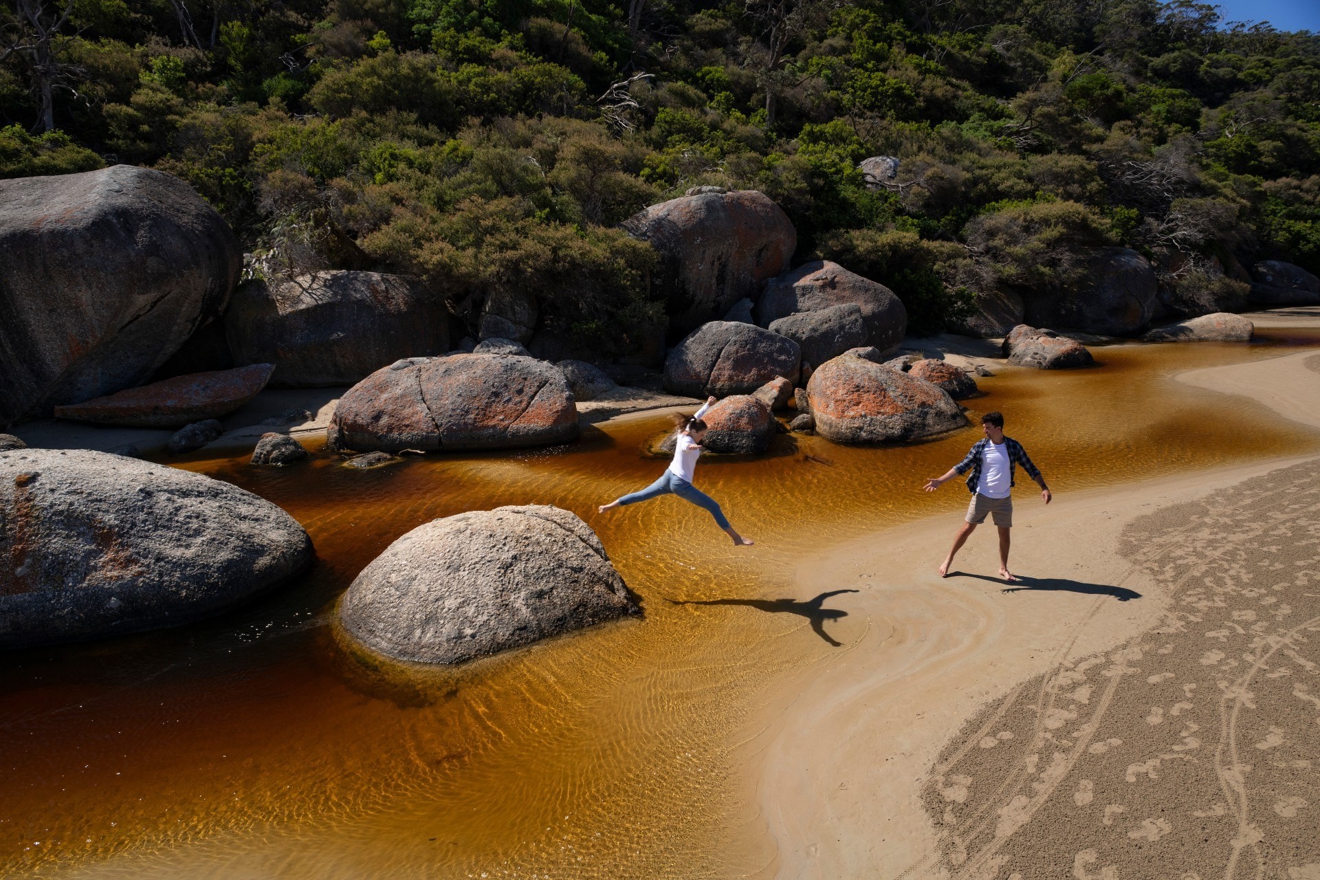 Aus vic Tidal River Wilsons Promontory National Park 2