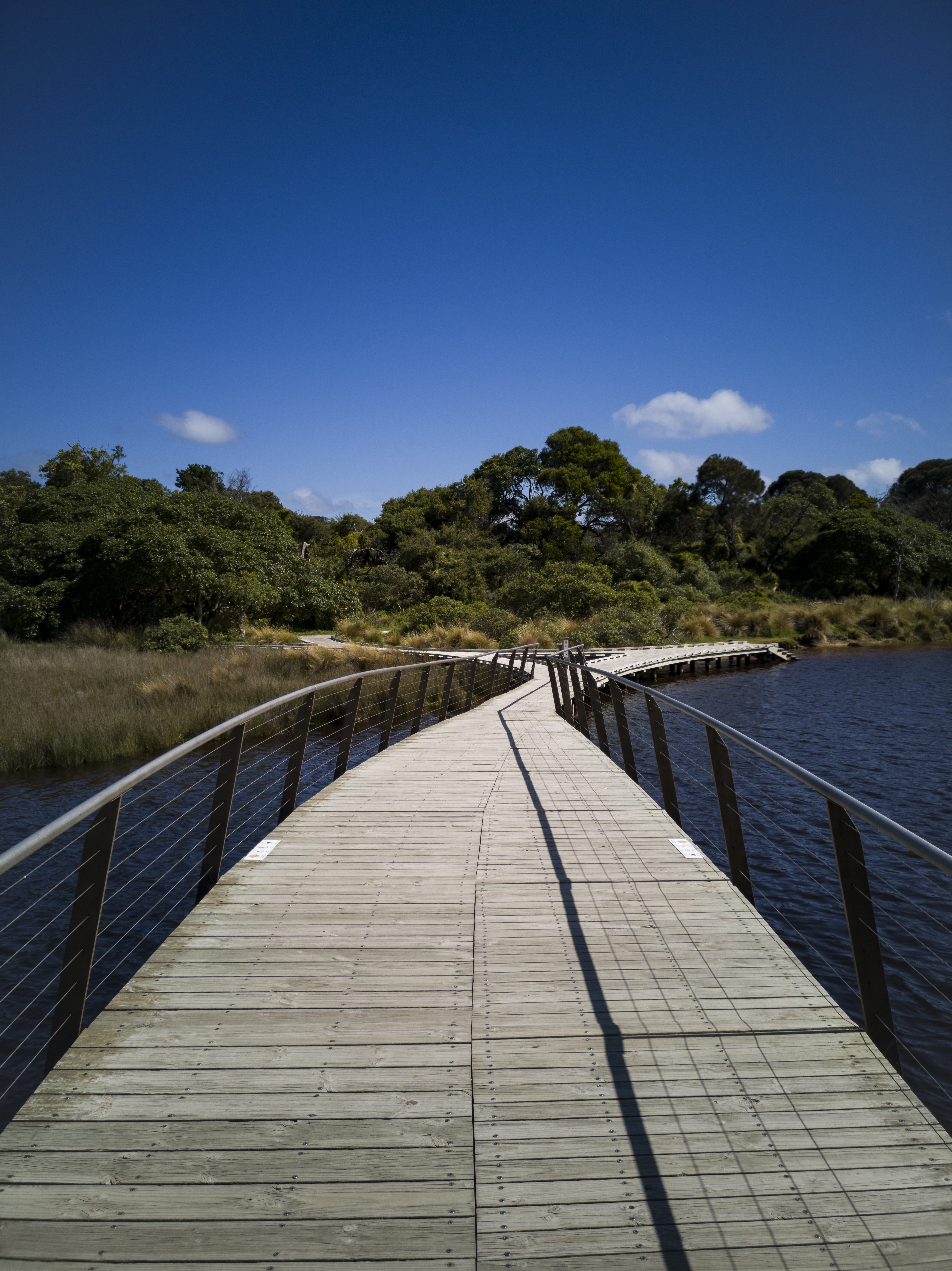 Aus vic Tidal River Wilsons Promontory National Park