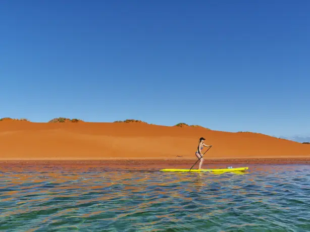 Aus wa Francois Peron National Park