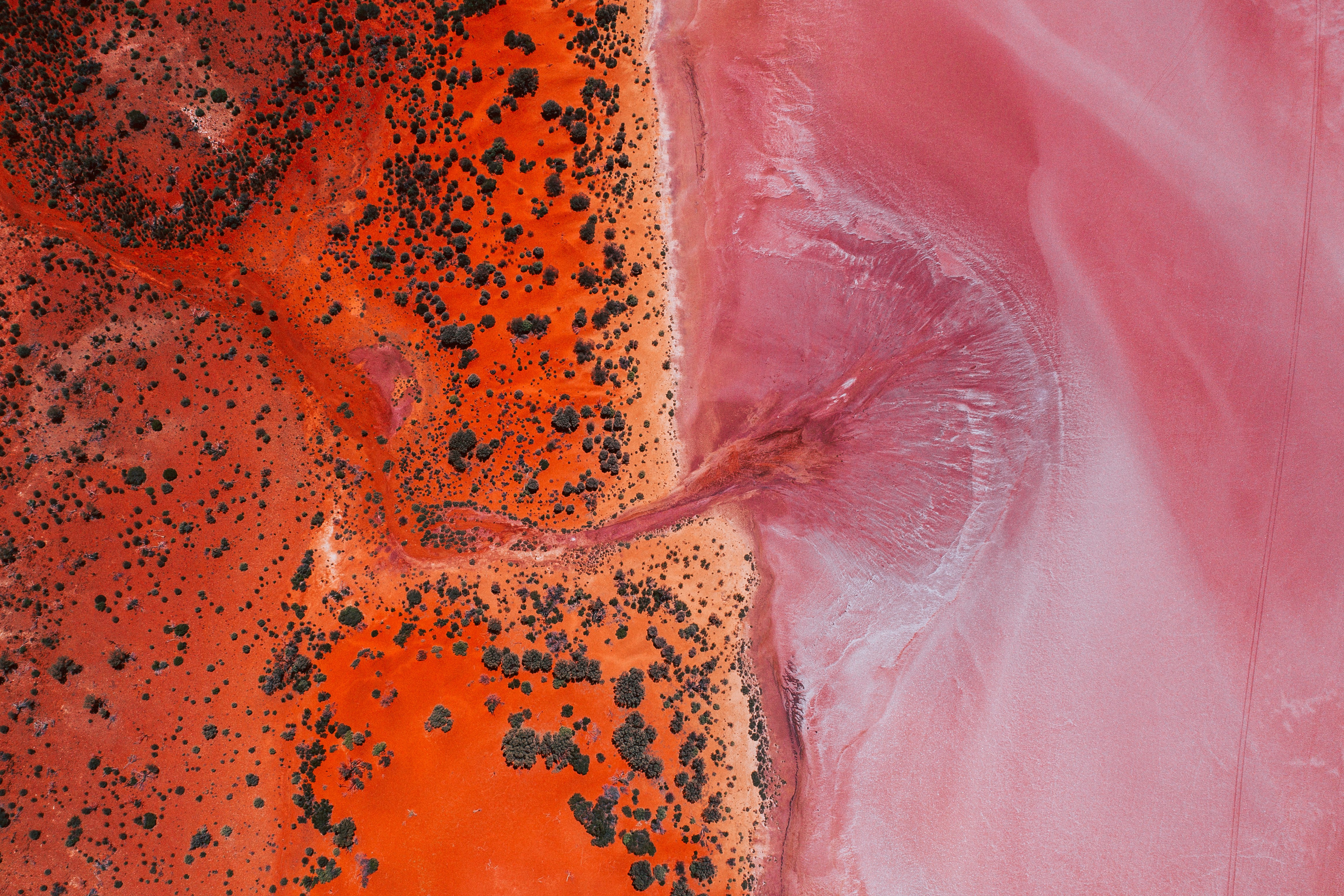An aerial view of the pink Lake Ballard near Menzies in Kalgoorlie, Western Australia
