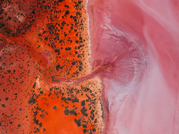 An aerial view of the pink Lake Ballard near Menzies in Kalgoorlie, Western Australia