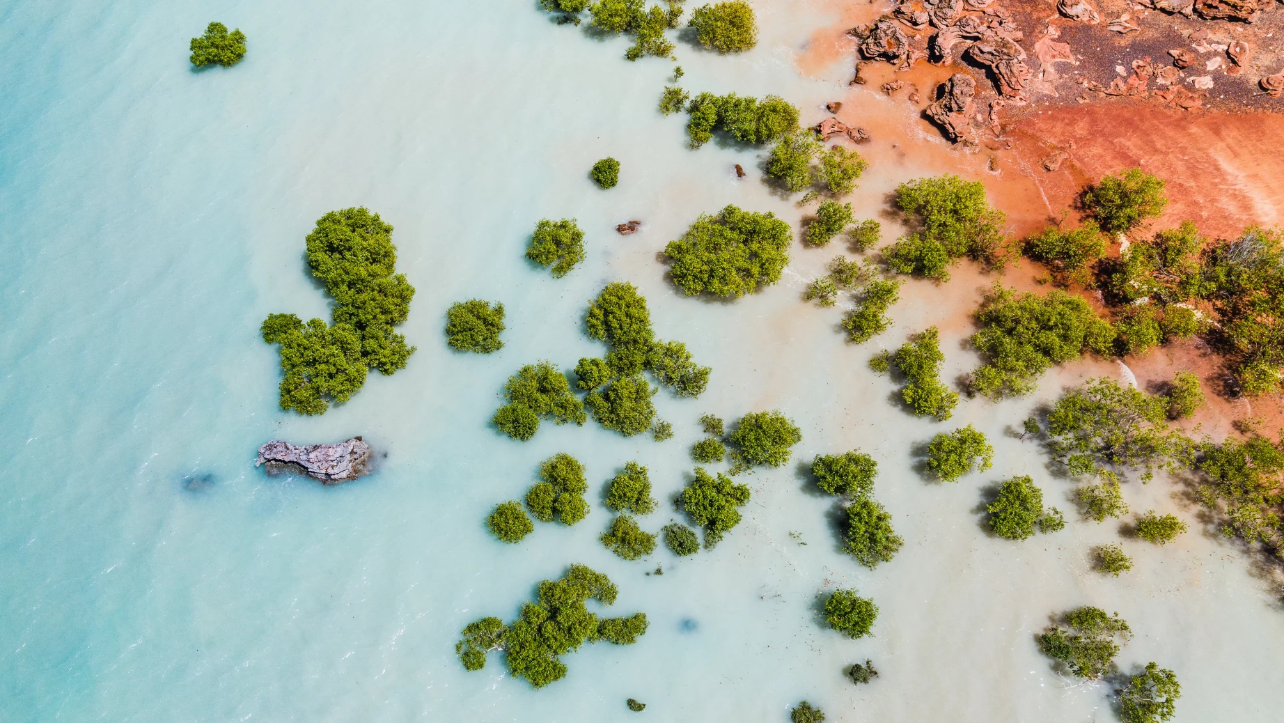 Australien Westaustralien Rosebuck Bay Broome