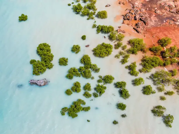 Australien Westaustralien Rosebuck Bay Broome