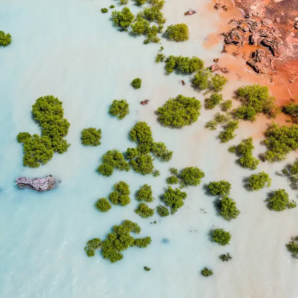 Australien Westaustralien Rosebuck Bay Broome