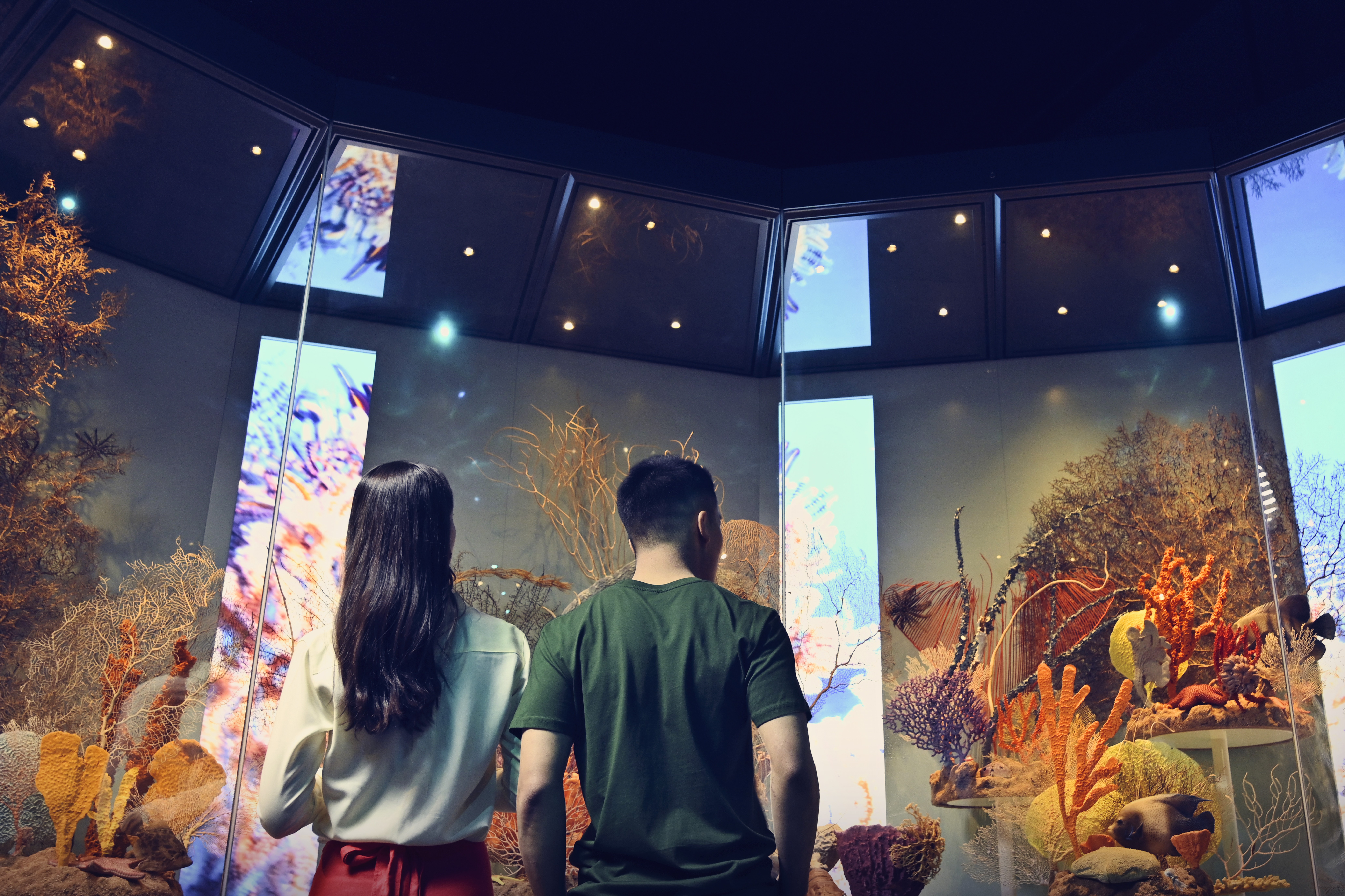 Aus wa WA Museum Boola Bardip Perth