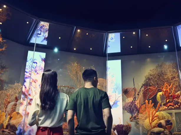Aus wa WA Museum Boola Bardip Perth