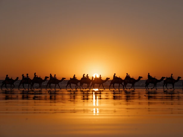 Aus wa Camels at sunset on Cable Beach Broome