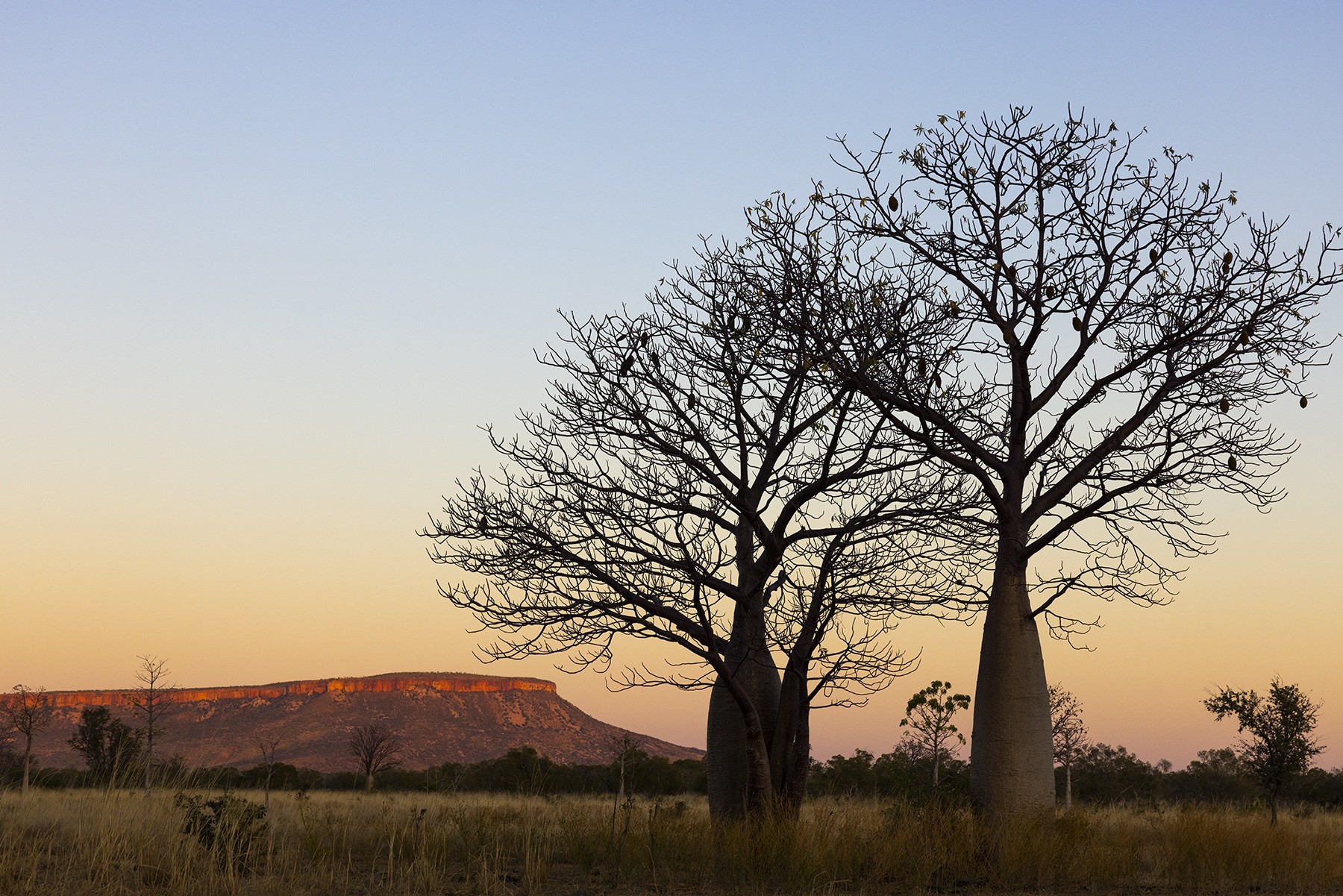 Aus wa El Questro Wilderness Park Gibb River Road