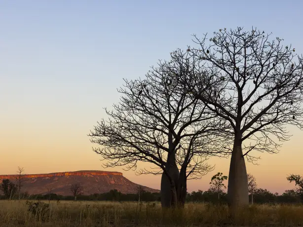 Aus wa El Questro Wilderness Park Gibb River Road