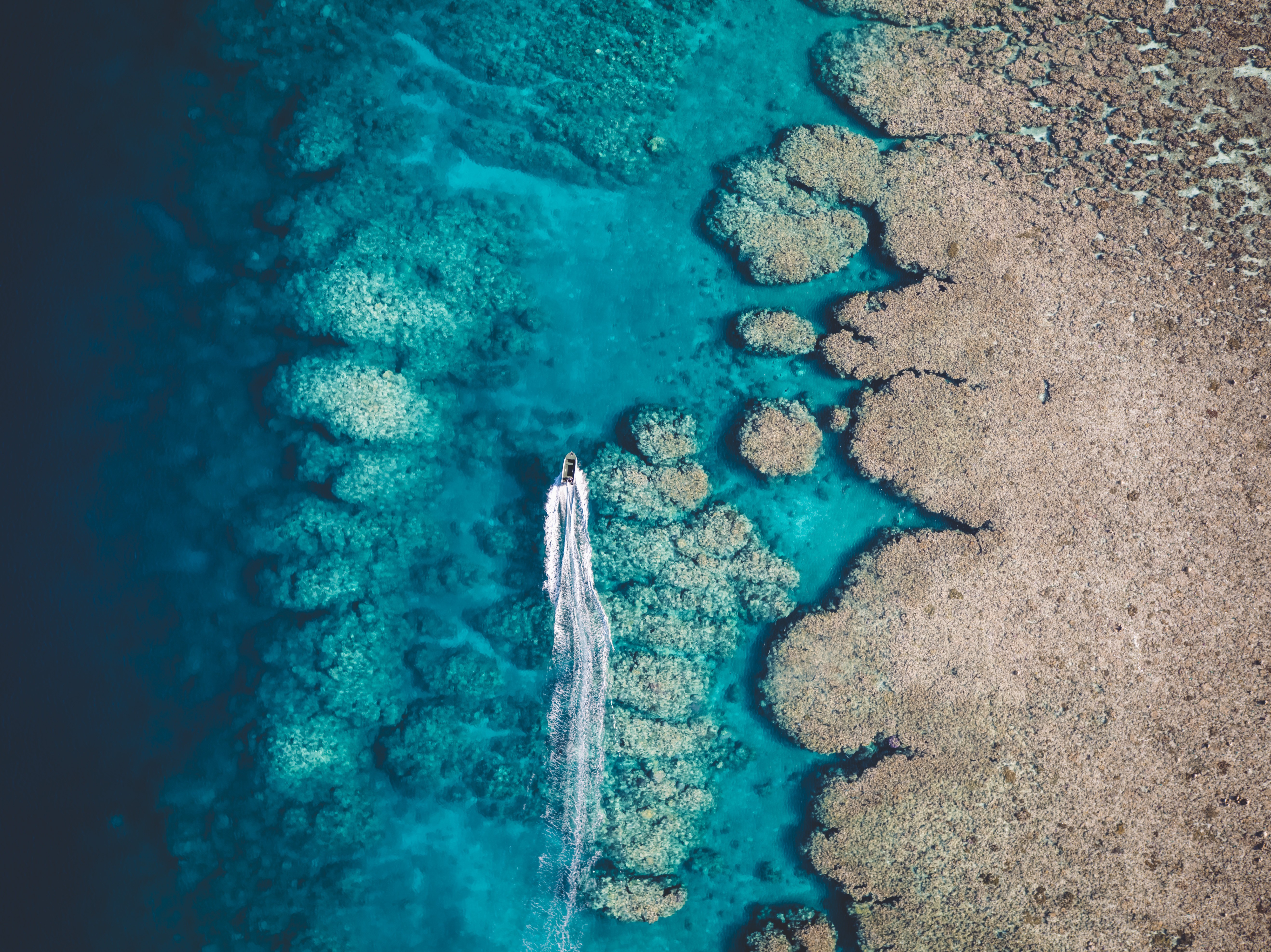 Aus wa Rowley Shoals Marine Park near Broome credit Tourism Western Australia and credit saltywings on social media
