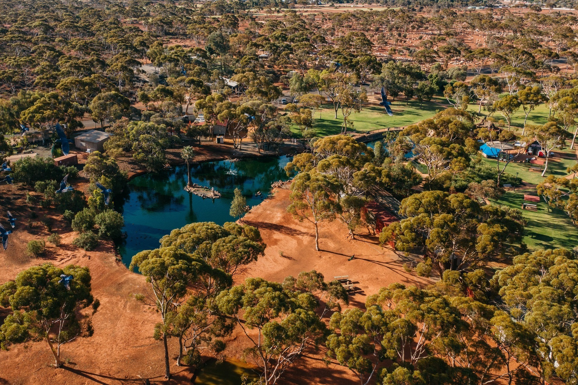 1 Aus wa Hammond Park Kalgoorlie credit Tourism Western Australia