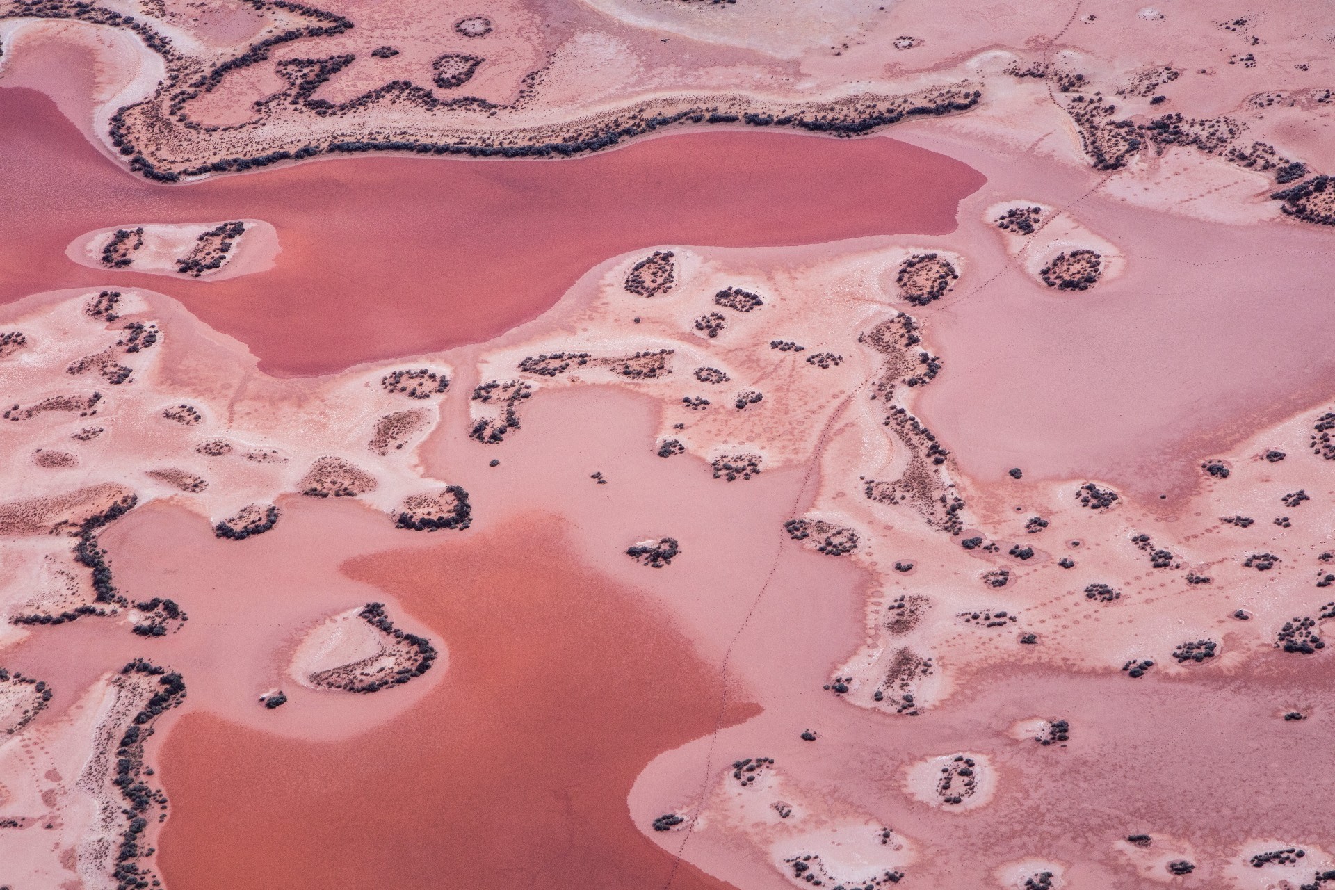 Australien Westaustralien Pink Lake Kalgoorlie