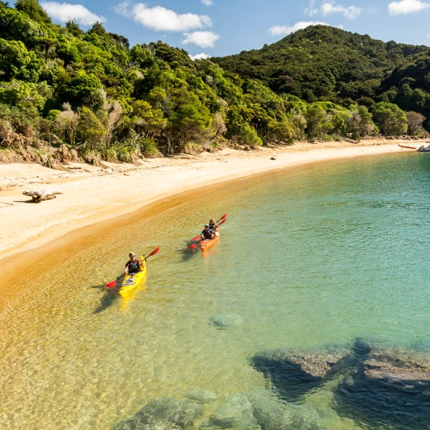 Kajakkers peddelen dicht bij de kust in het Abel Tasman National Park, Nieuw-Zeeland