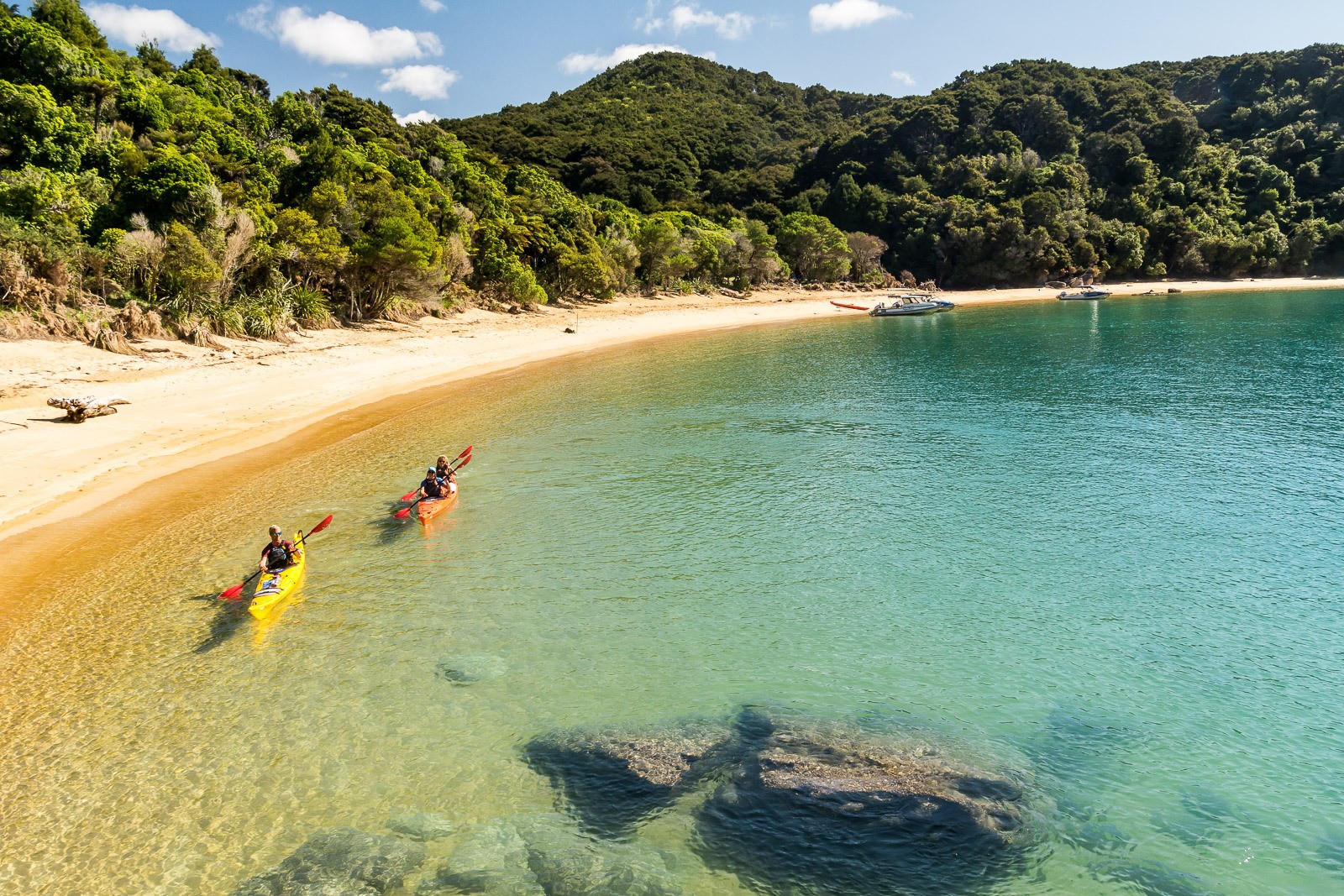 Nz abel tasman Marahau Sea Kayaks 2