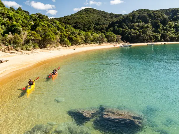 Nz abel tasman Marahau Sea Kayaks 2