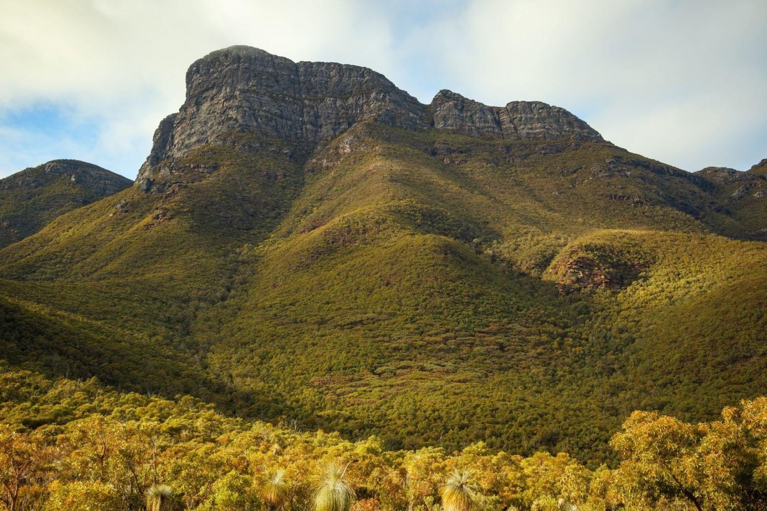 Stirling range bluff knoll
