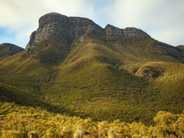 Stirling range bluff knoll