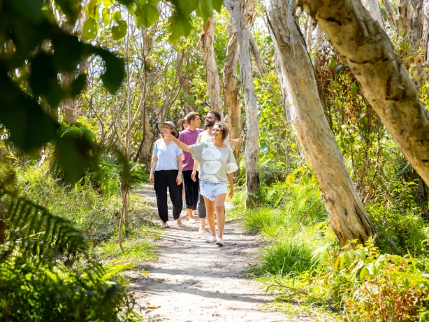 1 Aus brisbane bush walk credit Tourism and Events Queensland