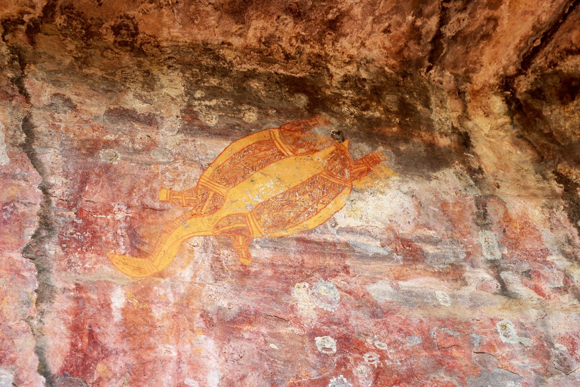 Aus nt Kakadu NT rock art