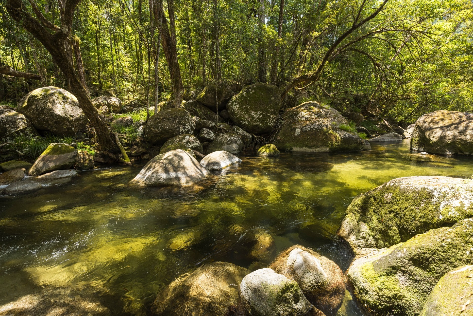 Aus qld mossman gorge