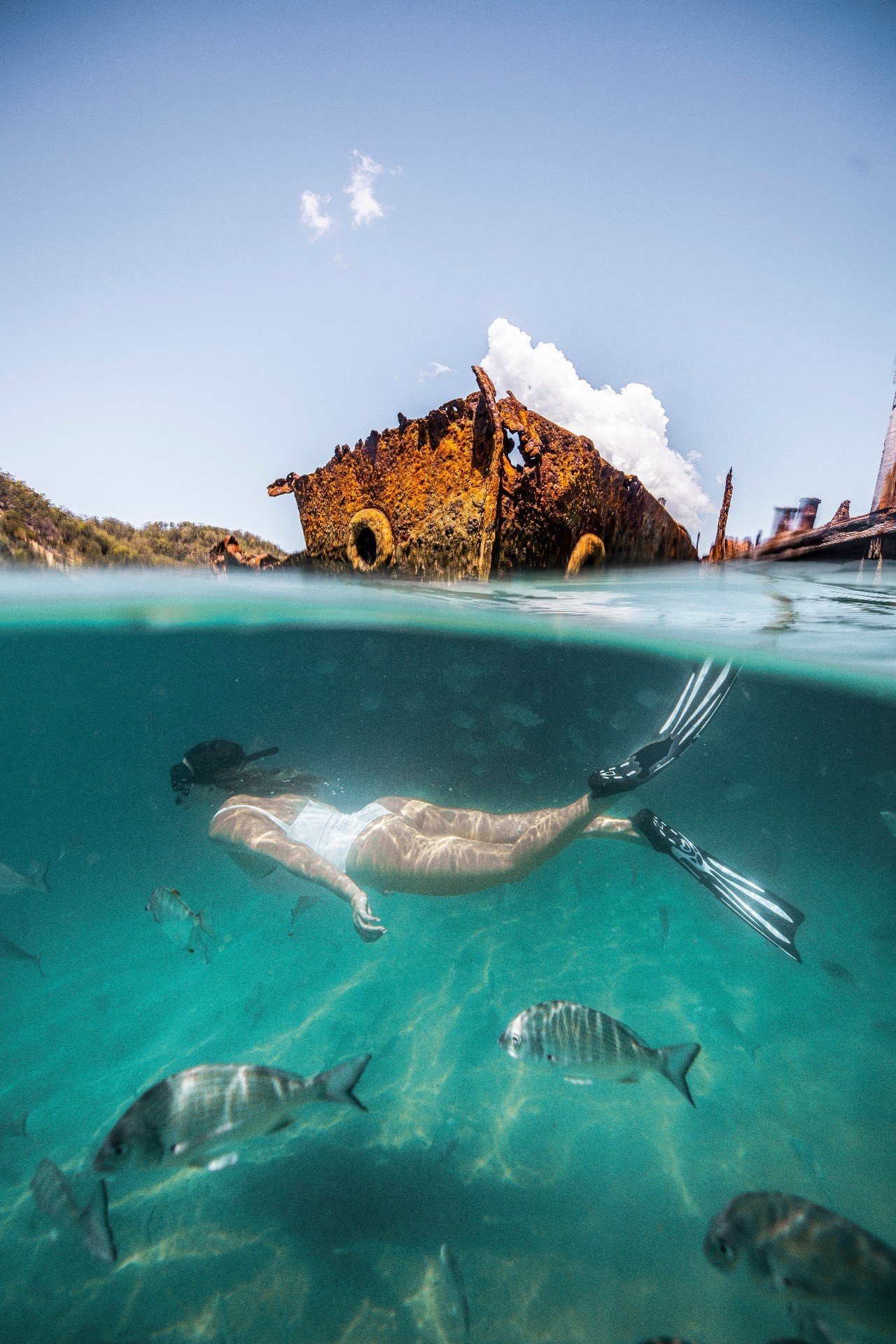 1 Aus qld brisbane tangalooma wrecks moreton island credit Tourism and Events Queensland