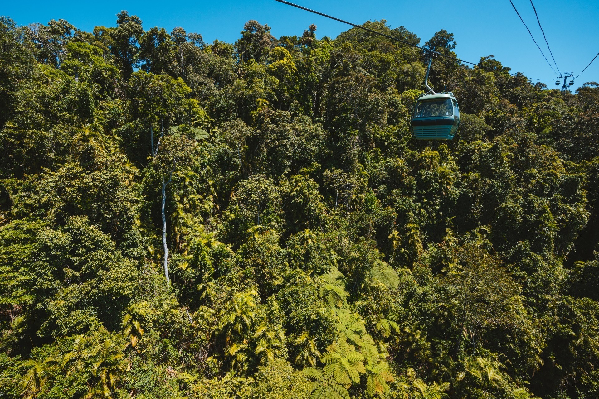 Aus qld cairns Skyrail Rainforest Cableway
