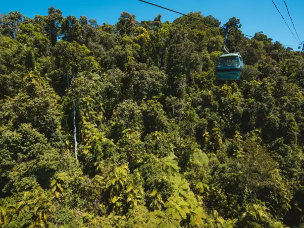 Aus qld cairns Skyrail Rainforest Cableway