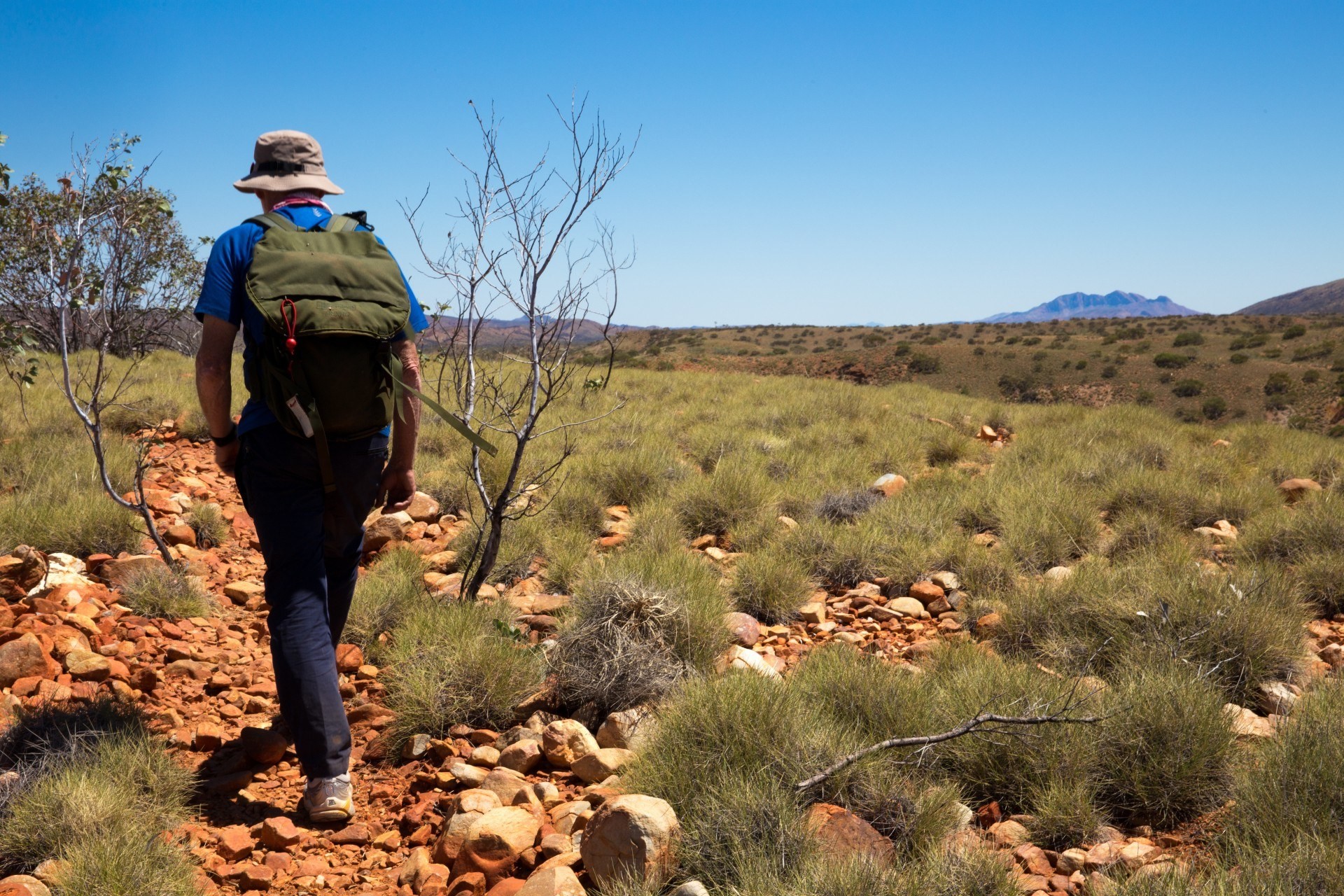 1 Larapinta Trail by World Expeditions View of Mt Sonder West Mac Donnell Ranges NT cedit World Expeditions Great Walks of Australia 1