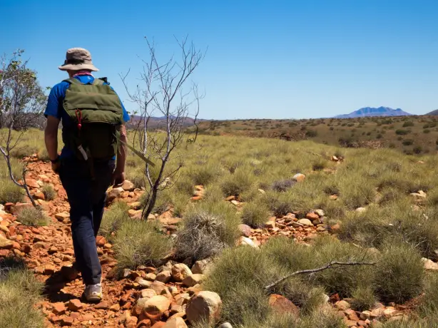 1 Larapinta Trail by World Expeditions View of Mt Sonder West Mac Donnell Ranges NT cedit World Expeditions Great Walks of Australia 1