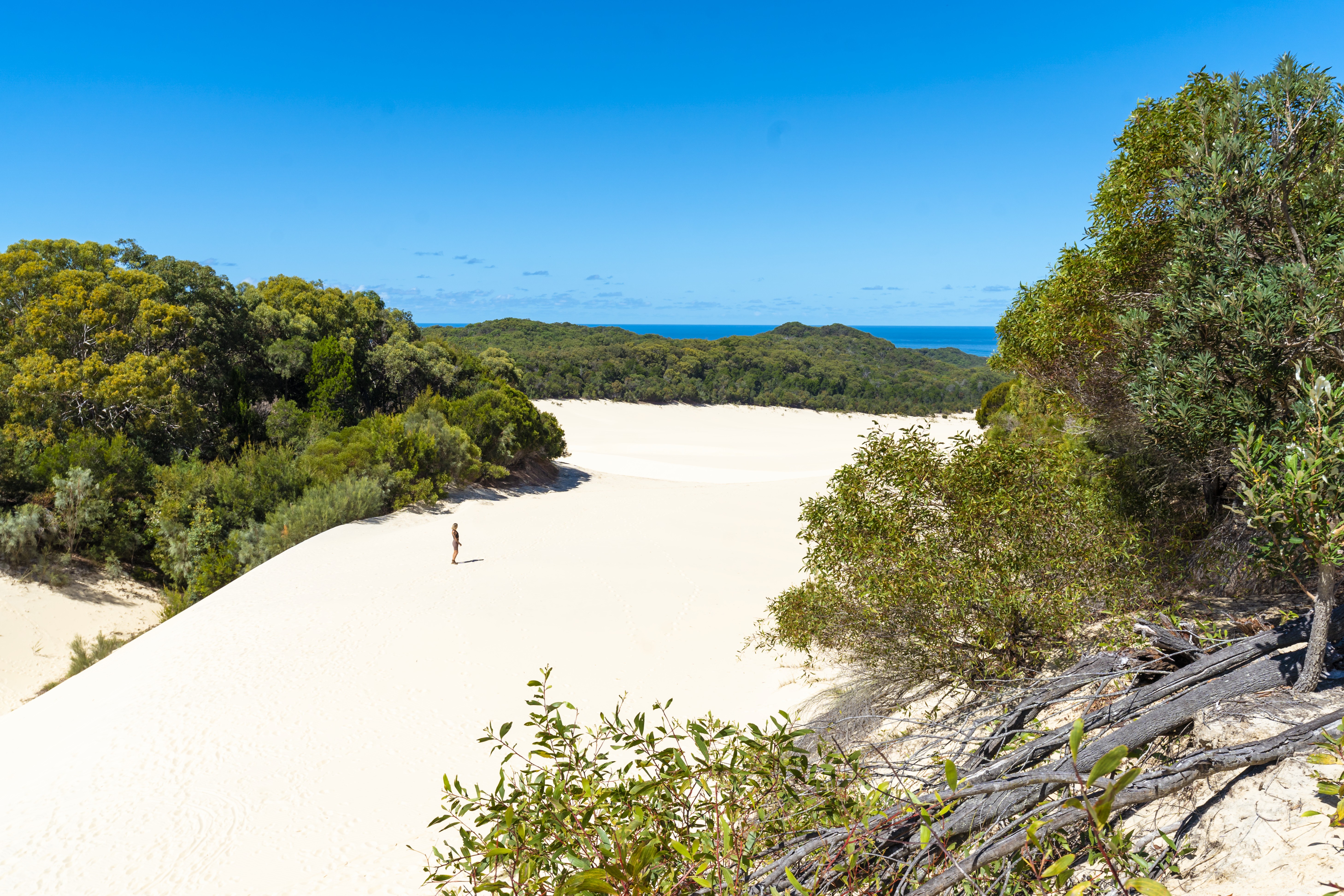 Aus queensland beach